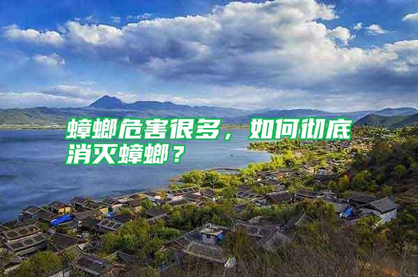 蟑螂危害很多，如何徹底消滅蟑螂？
