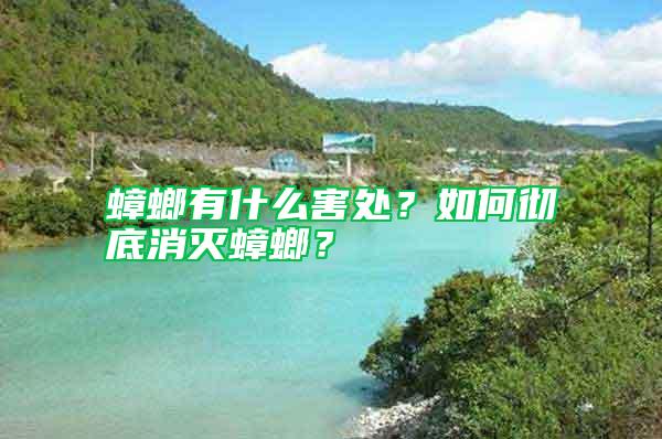 蟑螂有什么害處？如何徹底消滅蟑螂？