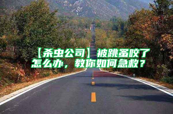 【殺蟲公司】被跳蚤咬了怎么辦，教你如何急救？