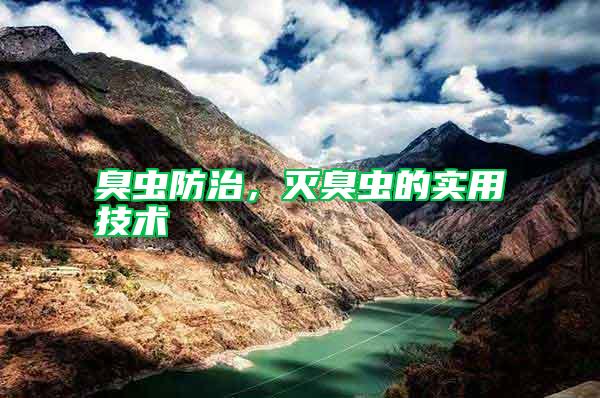 臭蟲防治，滅臭蟲的實用技術(shù)