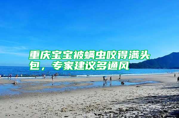 重慶寶寶被螨蟲咬得滿頭包，專家建議多通風(fēng)