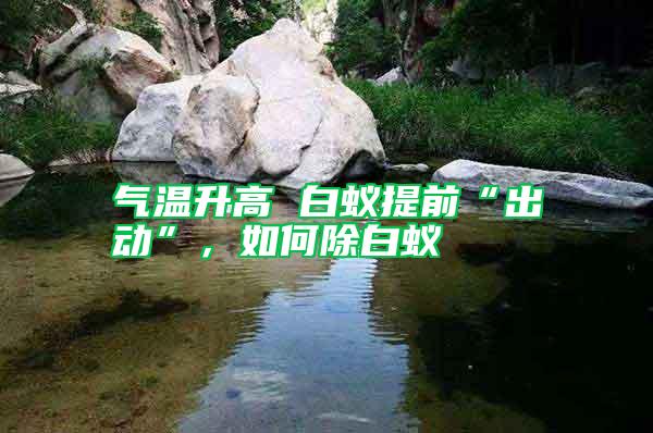 氣溫升高 白蟻提前“出動(dòng)”，如何除白蟻