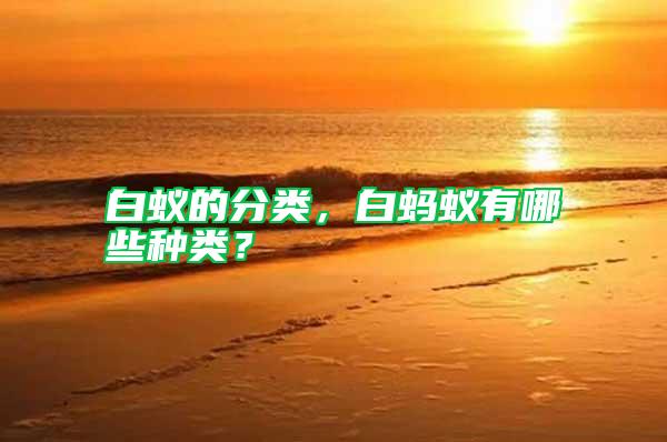白蟻的分類，白螞蟻有哪些種類？