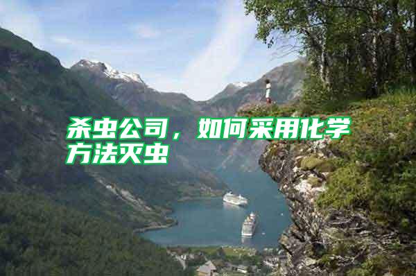 殺蟲公司，如何采用化學(xué)方法滅蟲