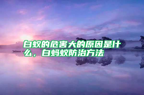 白蟻的危害大的原因是什么，白螞蟻防治方法