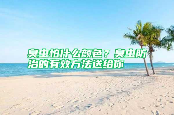 臭蟲怕什么顏色？臭蟲防治的有效方法送給你