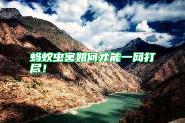 螞蟻蟲害如何才能一網(wǎng)打盡！