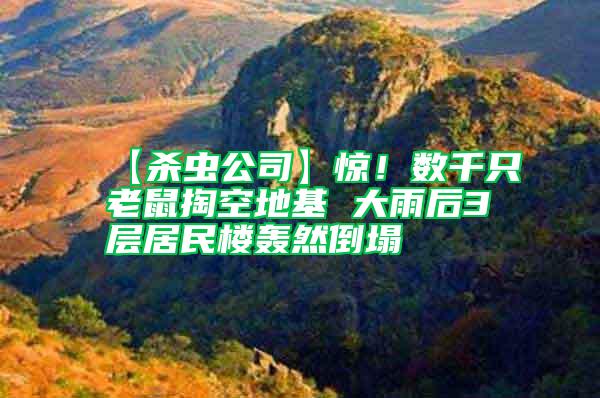 【殺蟲公司】驚！數(shù)千只老鼠掏空地基 大雨后3層居民樓轟然倒塌