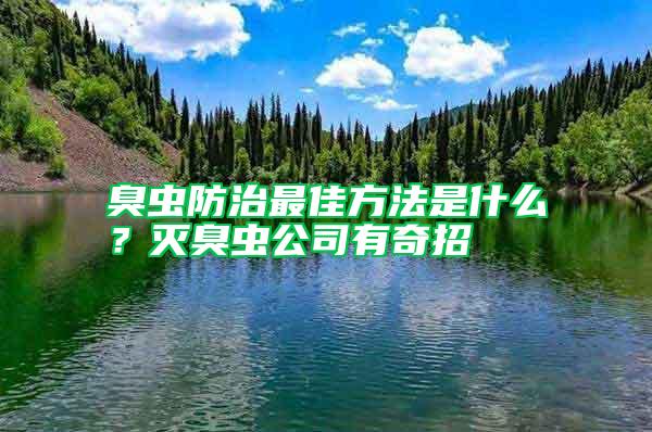 臭蟲(chóng)防治最佳方法是什么？滅臭蟲(chóng)公司有奇招