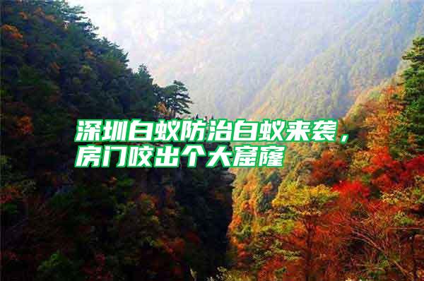 深圳白蟻防治白蟻來(lái)襲，房門咬出個(gè)大窟窿
