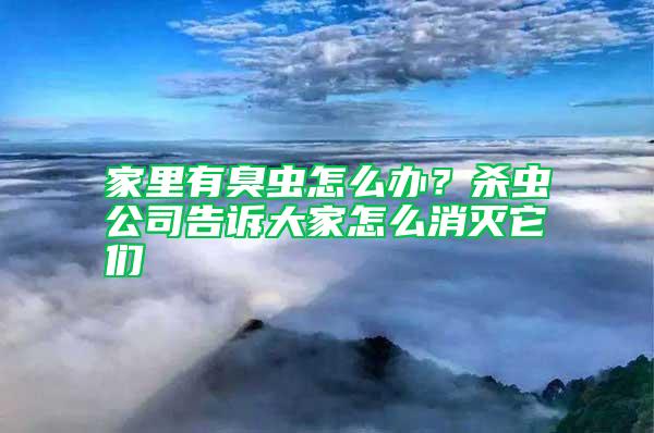 家里有臭蟲怎么辦？殺蟲公司告訴大家怎么消滅它們