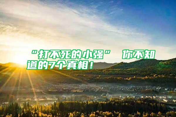 “打不死的小強” 你不知道的7個真相！