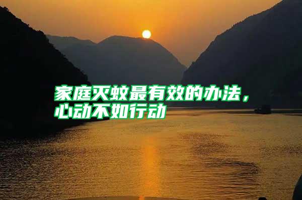 家庭滅蚊最有效的辦法，心動不如行動