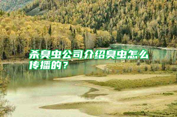殺臭蟲(chóng)公司介紹臭蟲(chóng)怎么傳播的？