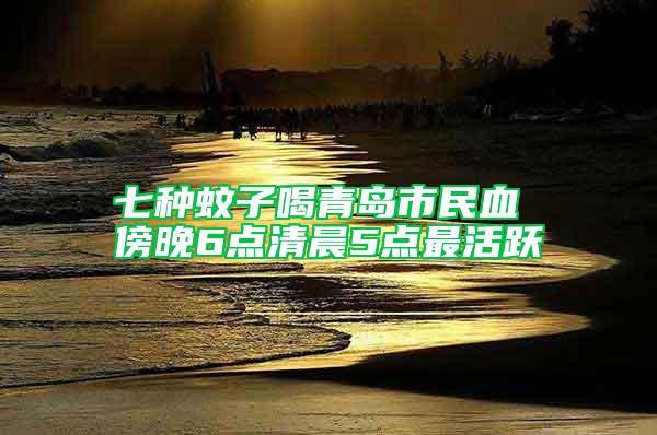 七種蚊子喝青島市民血 傍晚6點(diǎn)清晨5點(diǎn)最活躍
