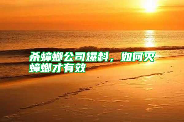 殺蟑螂公司爆料，如何滅蟑螂才有效