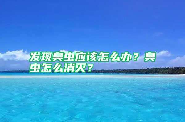 發(fā)現(xiàn)臭蟲應(yīng)該怎么辦？臭蟲怎么消滅？