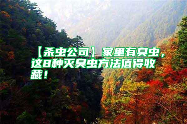【殺蟲公司】家里有臭蟲，這8種滅臭蟲方法值得收藏！
