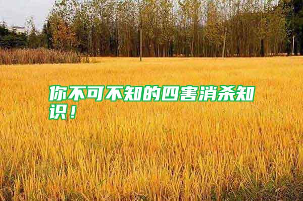 你不可不知的四害消殺知識！
