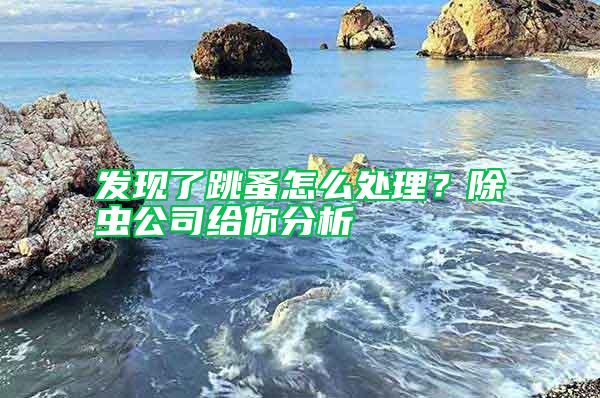 發(fā)現(xiàn)了跳蚤怎么處理？除蟲公司給你分析