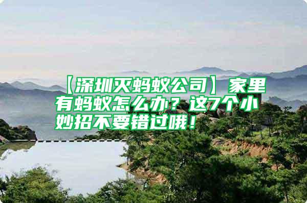 【深圳滅螞蟻公司】家里有螞蟻怎么辦？這7個小妙招不要錯過哦！