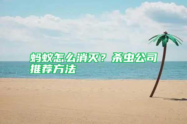 螞蟻怎么消滅？殺蟲公司推薦方法