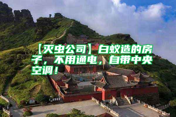 【滅蟲(chóng)公司】白蟻造的房子，不用通電，自帶中央空調(diào)！