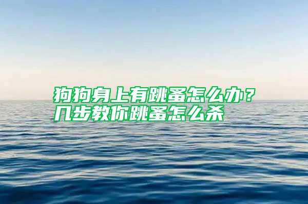 狗狗身上有跳蚤怎么辦？幾步教你跳蚤怎么殺