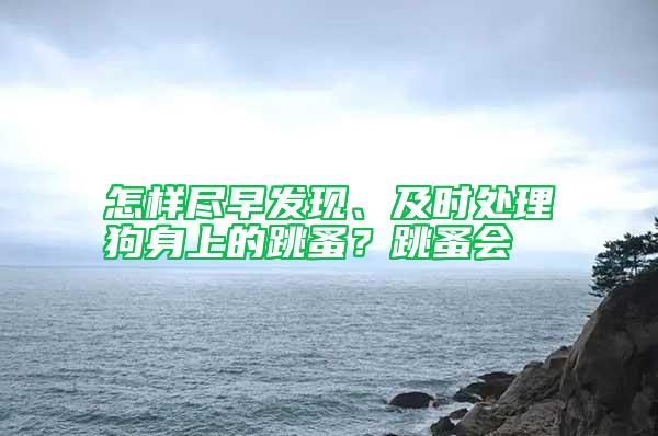 怎樣盡早發(fā)現(xiàn)、及時處理狗身上的跳蚤？跳蚤會