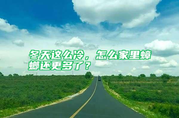 冬天這么冷，怎么家里蟑螂還更多了？