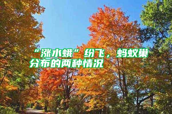 “漲水蛾”紛飛，螞蟻巢分布的兩種情況