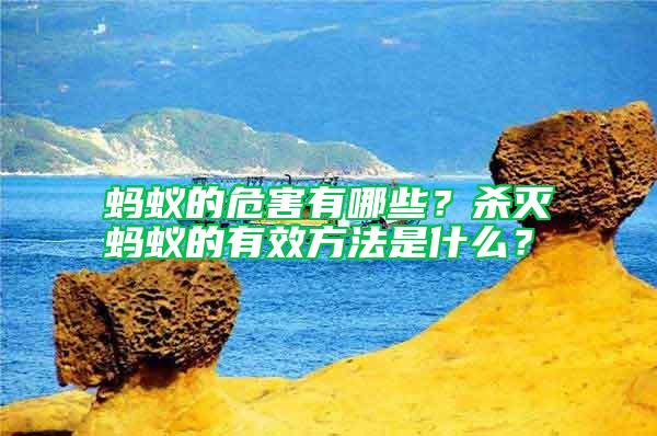螞蟻的危害有哪些？殺滅螞蟻的有效方法是什么？