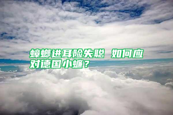 蟑螂進耳險失聰 如何應對德國小蠊？