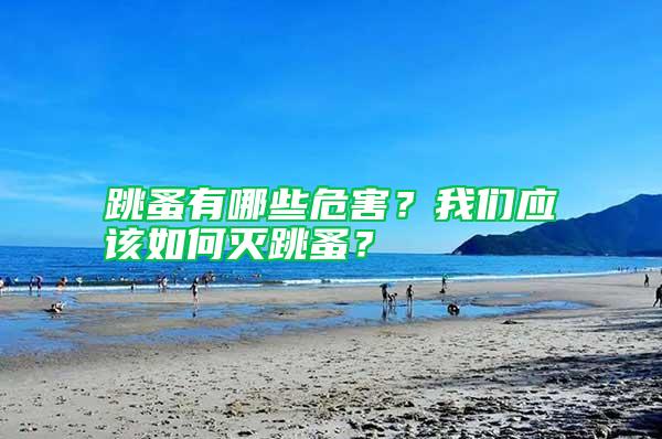 跳蚤有哪些危害？我們應(yīng)該如何滅跳蚤？