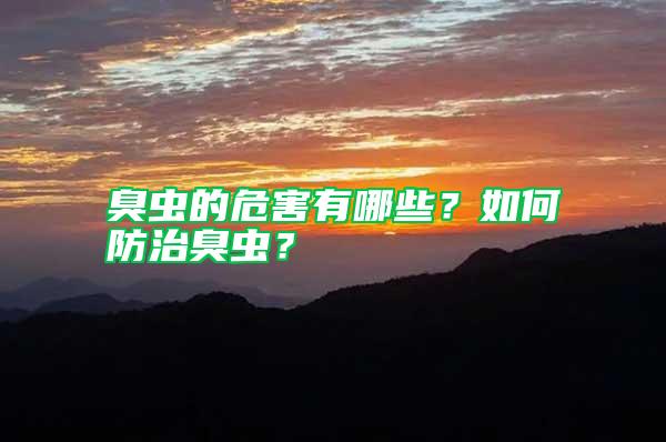 臭蟲的危害有哪些？如何防治臭蟲？