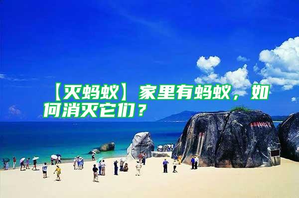 【滅螞蟻】家里有螞蟻，如何消滅它們？