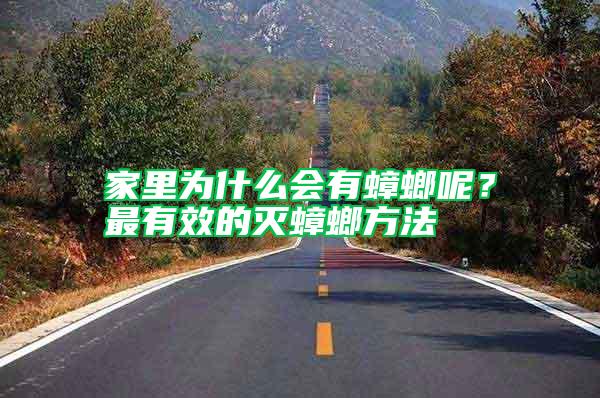 家里為什么會有蟑螂呢？最有效的滅蟑螂方法