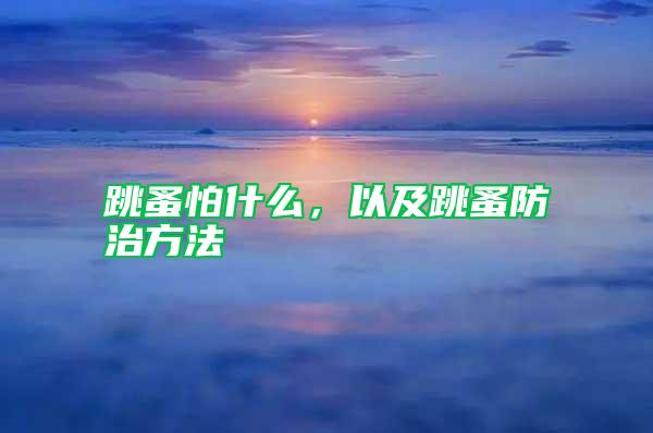 跳蚤怕什么，以及跳蚤防治方法