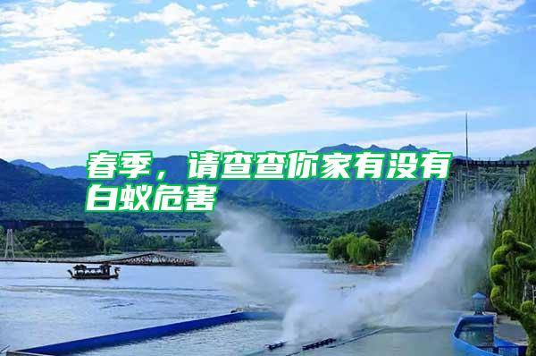 春季，請查查你家有沒有白蟻危害