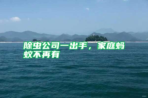 除蟲公司一出手，家庭螞蟻不再有
