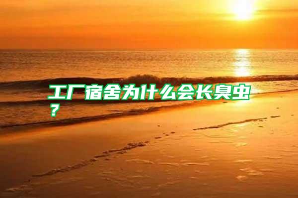 工廠宿舍為什么會長臭蟲？