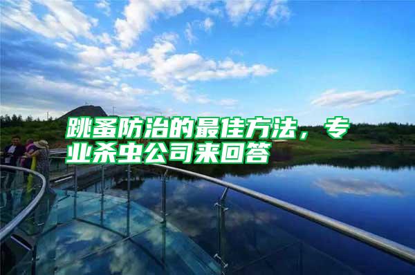 跳蚤防治的最佳方法，專業(yè)殺蟲公司來回答