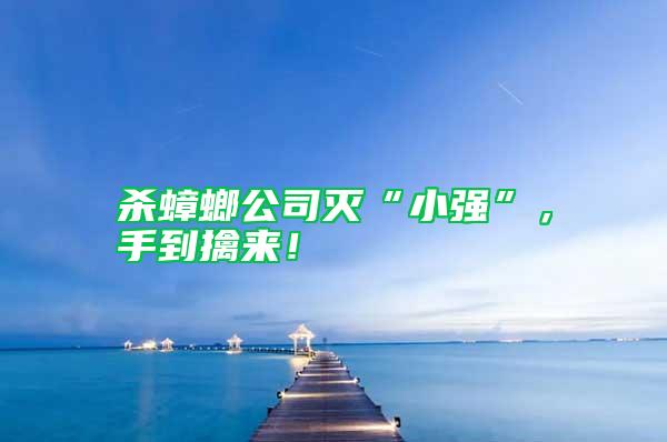 殺蟑螂公司滅“小強(qiáng)”，手到擒來(lái)！