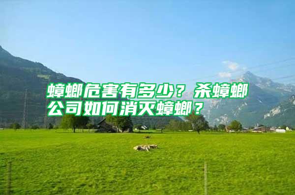 蟑螂危害有多少？殺蟑螂公司如何消滅蟑螂？