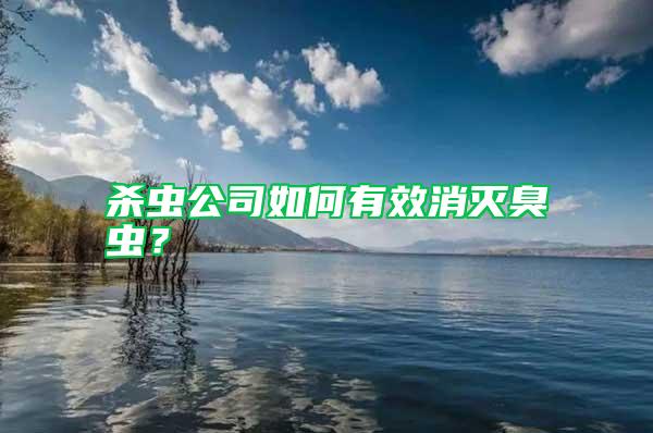 殺蟲公司如何有效消滅臭蟲？