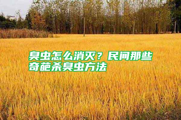 臭蟲怎么消滅？民間那些奇葩殺臭蟲方法