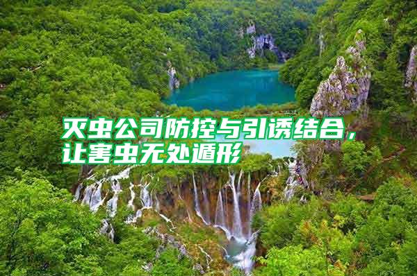 滅蟲公司防控與引誘結(jié)合，讓害蟲無處遁形