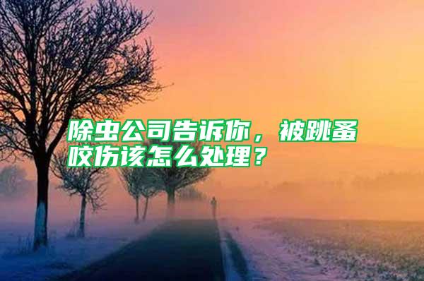 除蟲公司告訴你，被跳蚤咬傷該怎么處理？