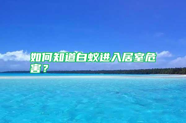 如何知道白蟻進(jìn)入居室危害？