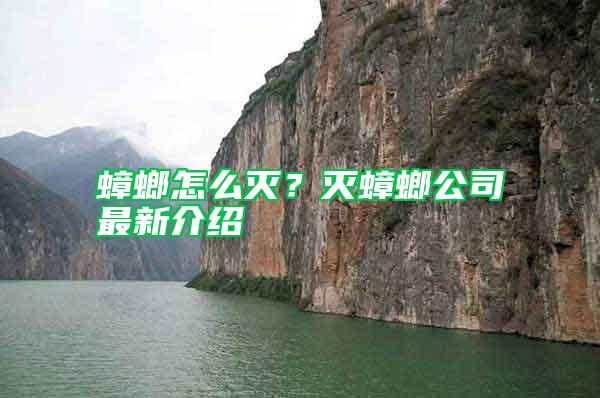 蟑螂怎么滅？滅蟑螂公司最新介紹